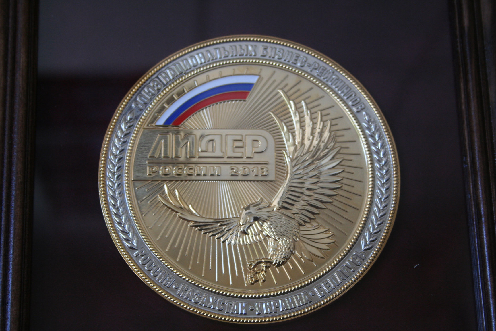 Медаль лидер России 2013